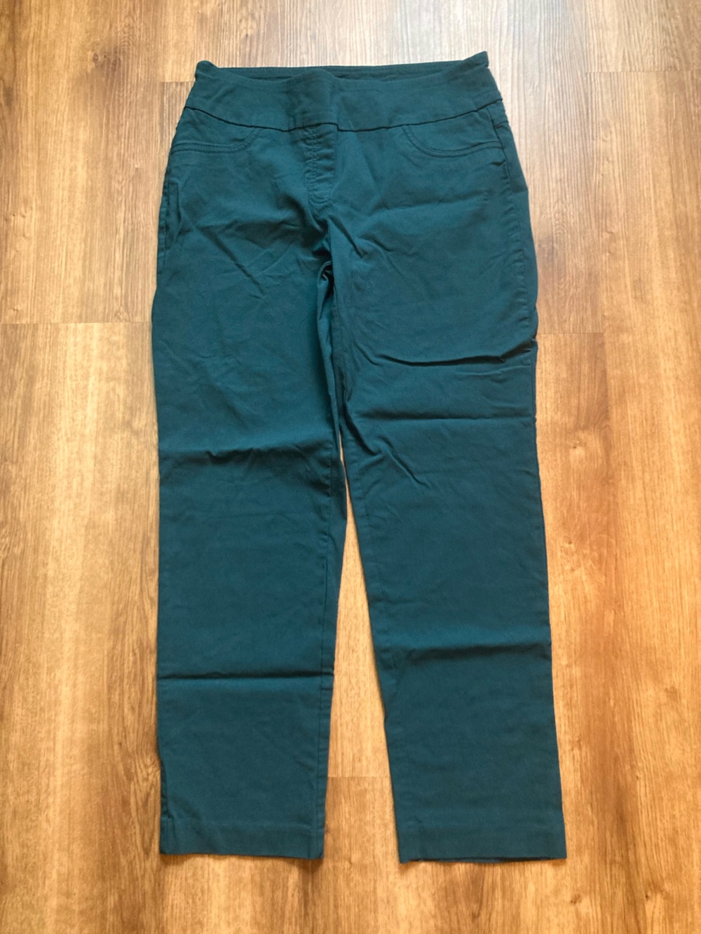Ruby Rd. Dark Teal Pants 12 Petite